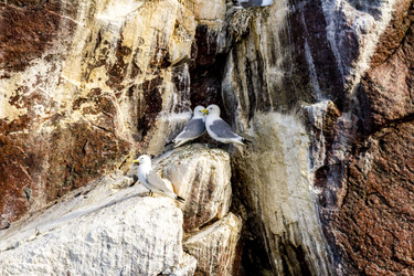 Similar image 21343717