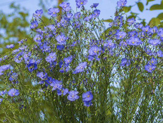 Similar image 21343965