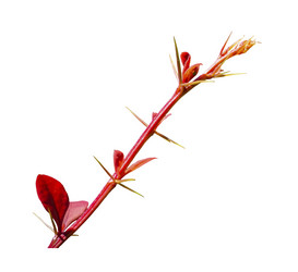 Similar image 21343969