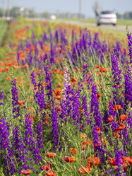 Similar image 21343971