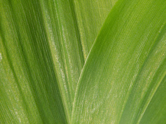 Similar image 21343972