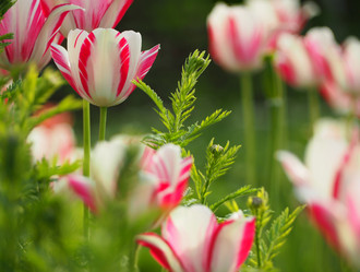 Similar image 21343973