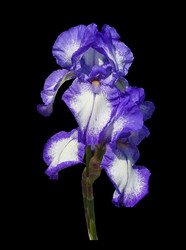 Similar image 21343978