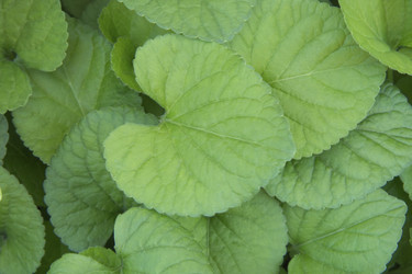 Similar image 21343981