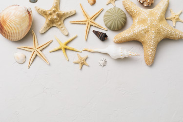 Similar image 21344030