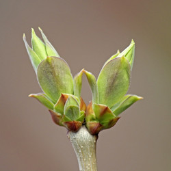 Similar image 21344057