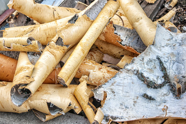 Similar image 21363742