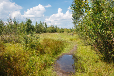 Similar image 21363759