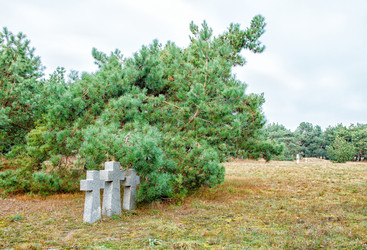 Similar image 21363786