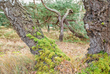 Similar image 21348000