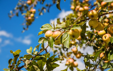 Similar image 21348009