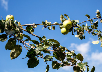 Similar image 21348021