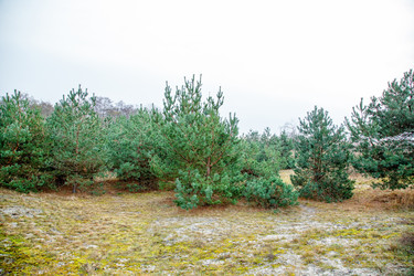 Similar image 21359283