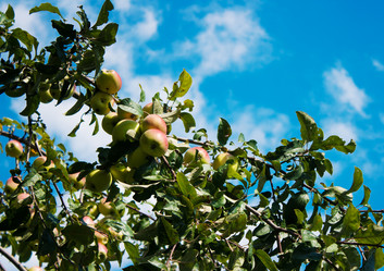 Similar image 21362463