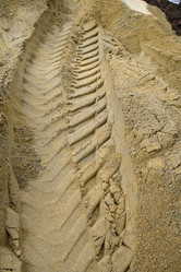 Similar image 21344310