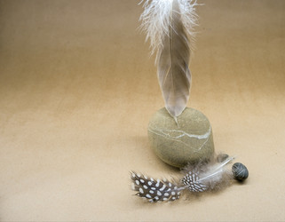 Similar image 21344828