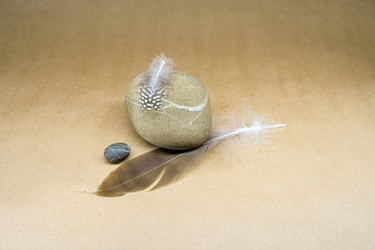 Similar image 21344829