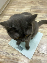 Similar image 21344317