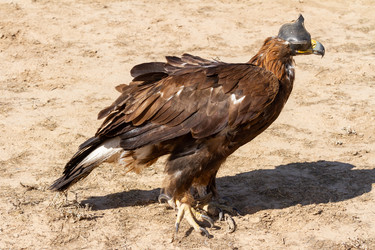 Similar image 21344040