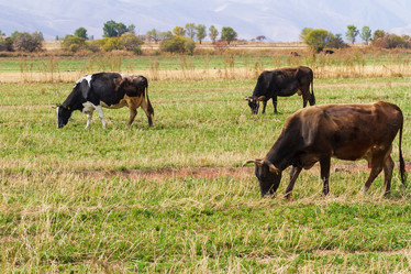 Similar image 21344043