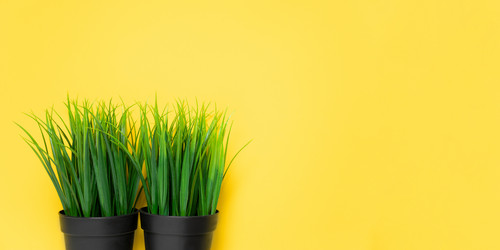 Similar image 21344061