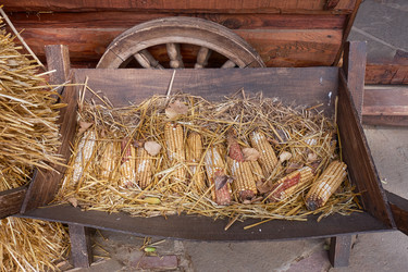 Similar image 21344469