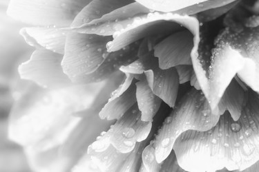 Similar image 21344421