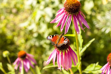 Similar image 21344423