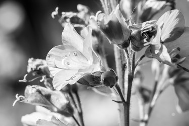 Similar image 21344424