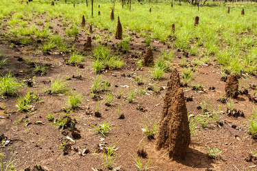 Similar image 21344425