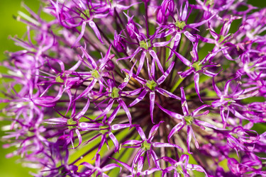 Similar image 21344427