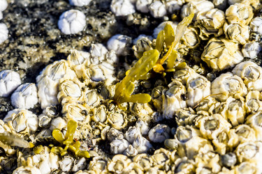 Similar image 21344433