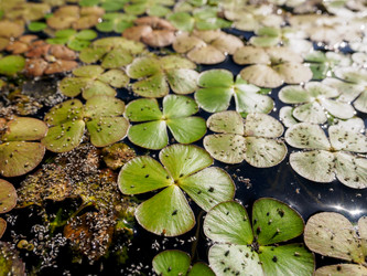 Similar image 21344447