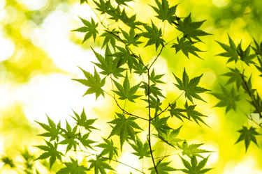 Similar image 21344448