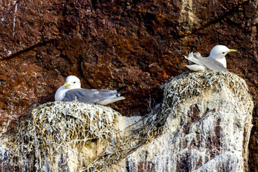 Similar image 21344451