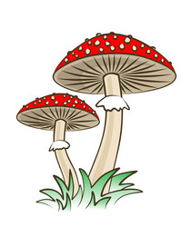 Similar image 21344578