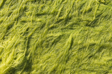 Similar image 21344512