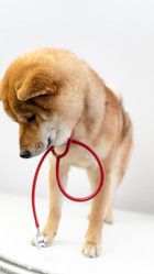 Similar image 21345586