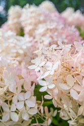 Similar image 21344834