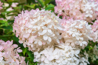 Similar image 21344835