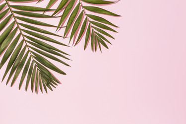 Similar image 21344791