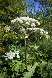 Similar image 21344850