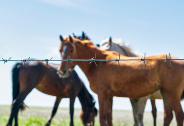 Similar image 21345045