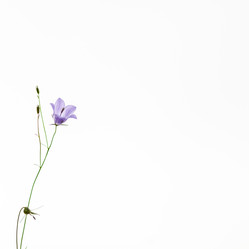 Similar image 21344873