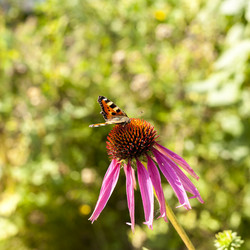 Similar image 21344874