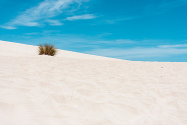 Similar image 21344879