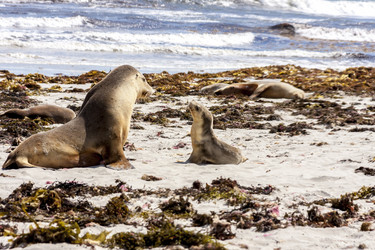 Similar image 21344887