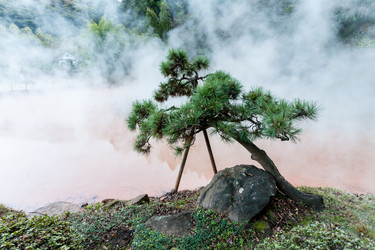 Similar image 21344905