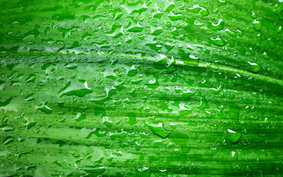 Similar image 21345981