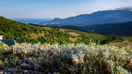 Similar image 21345993